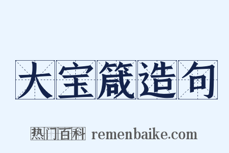 大宝箴造句是什么意思的图片
